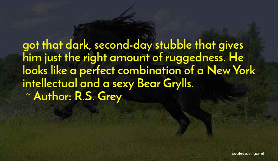 He Just Perfect Quotes By R.S. Grey