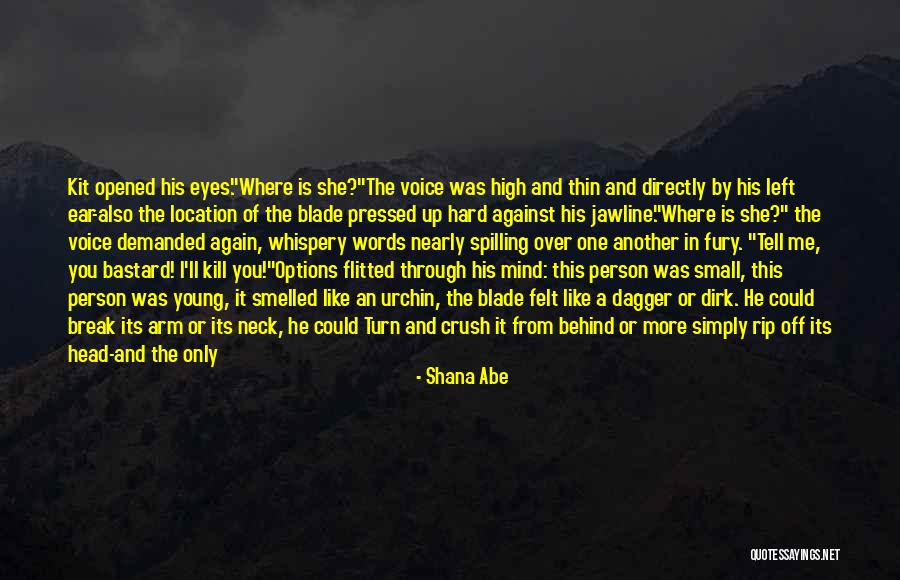 He Left Me Again Quotes By Shana Abe He Left Me Again Quotes By Shana Abe