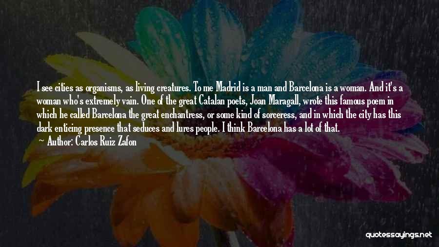 He Man Sorceress Quotes By Carlos Ruiz Zafon