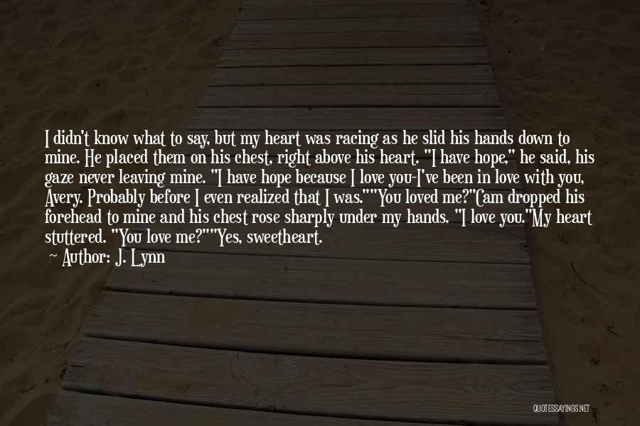 He Never Loved You Quotes By J. Lynn