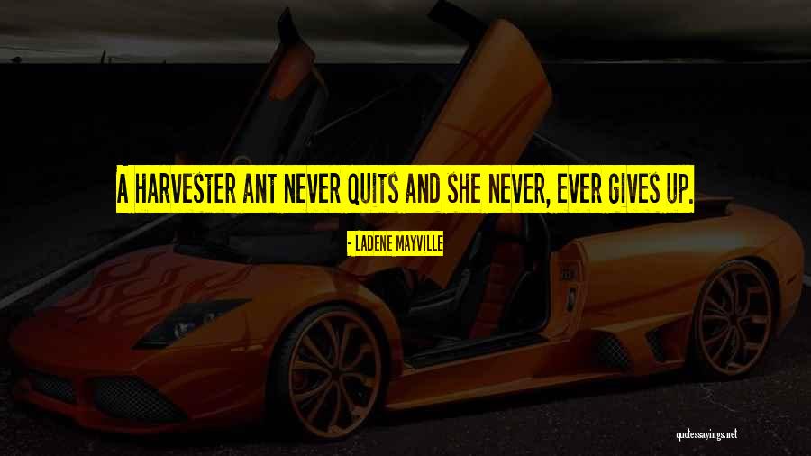 He Never Quits Quotes By LaDene Mayville He Never Quits Quotes By LaDene Mayville