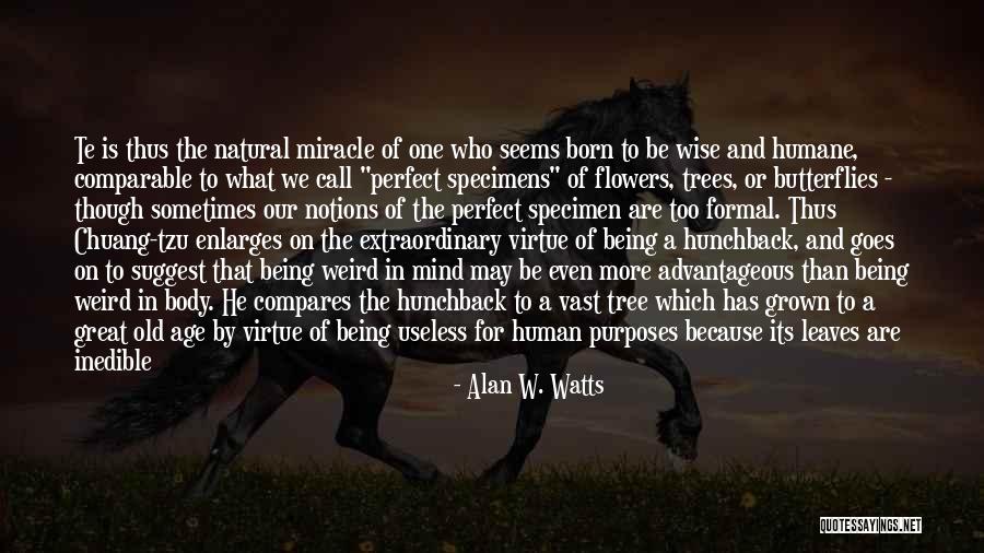 He Not Perfect But He's All I Want Quotes By Alan W. Watts