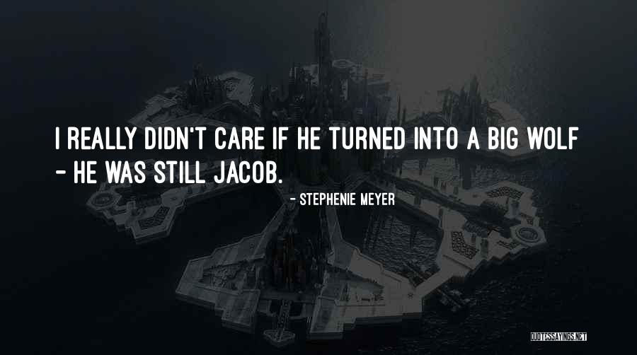 He Really Didn T Care Quotes By Stephenie Meyer He Really Didn T Care Quotes By Stephenie Meyer