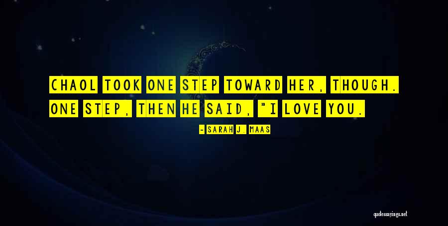 He Said I Love You Quotes By Sarah J. Maas