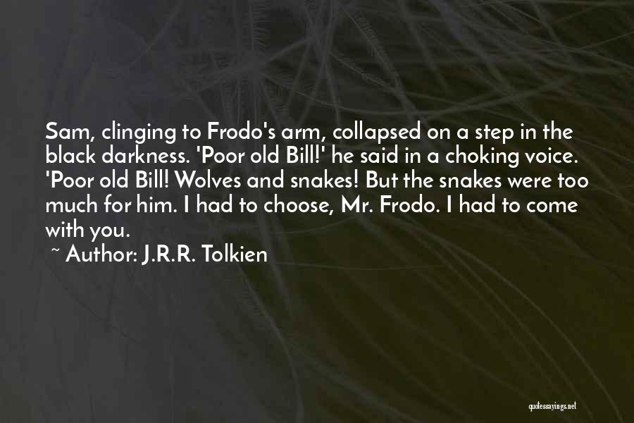 He Too Old For You Quotes By J.R.R. Tolkien