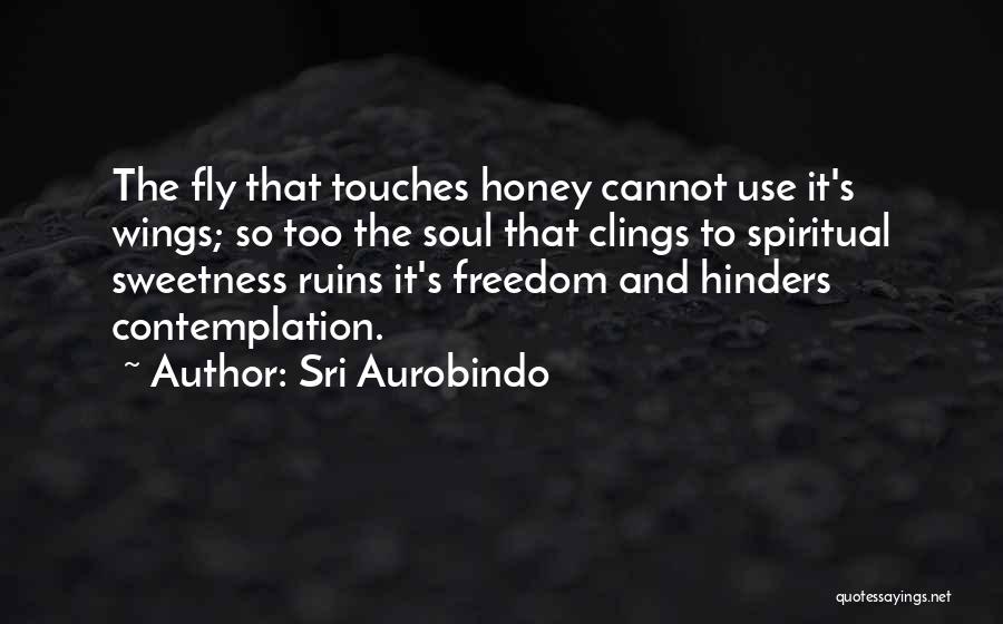 He Touches My Soul Quotes By Sri Aurobindo
