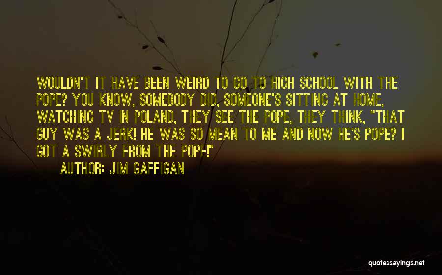 He Was A Jerk Quotes By Jim Gaffigan