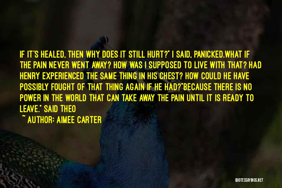He Went Away Quotes By Aimee Carter
