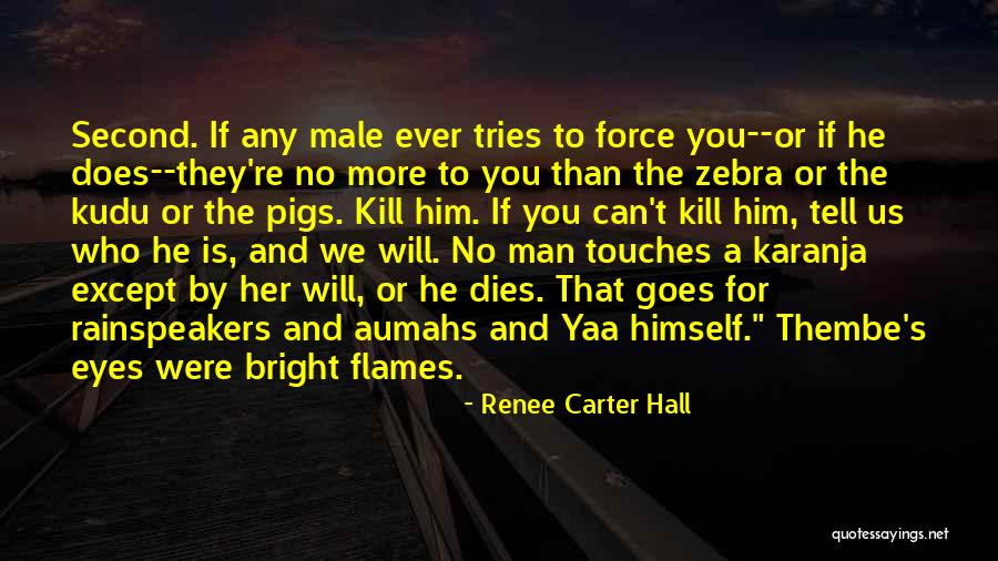 He Who Tries Quotes By Renee Carter Hall He Who Tries Quotes By Renee Carter Hall