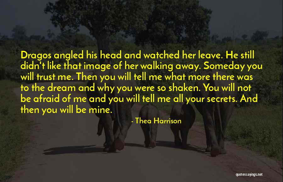 He Will Leave You Quotes By Thea Harrison