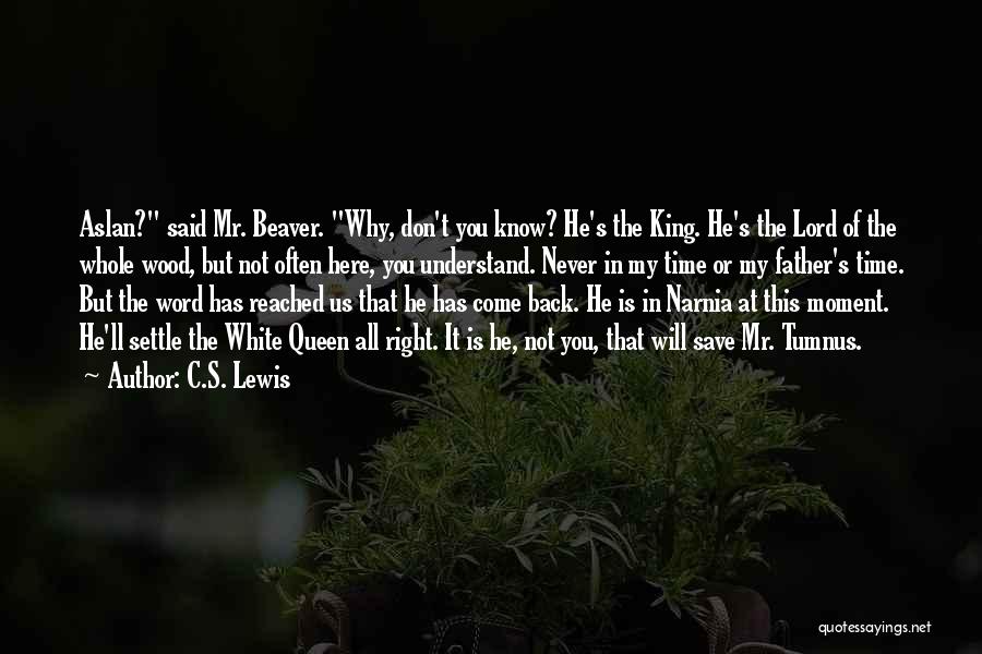 He Will Never Come Back Quotes By C.S. Lewis