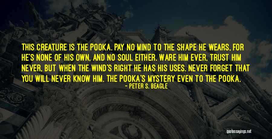He Will Never Know Quotes By Peter S. Beagle He Will Never Know Quotes By Peter S. Beagle