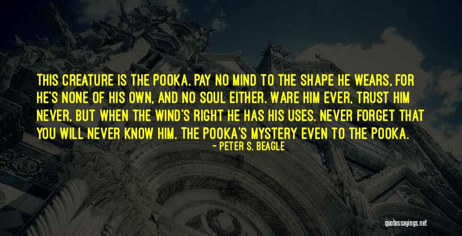 He Will Never Know Quotes By Peter S. Beagle