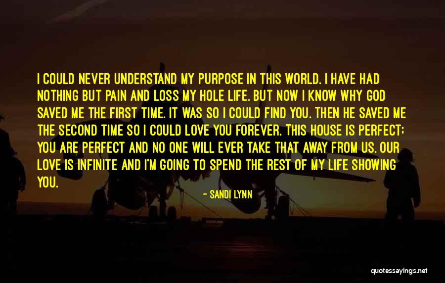 He Will Never Love You Quotes By Sandi Lynn He Will Never Love You Quotes By Sandi Lynn
