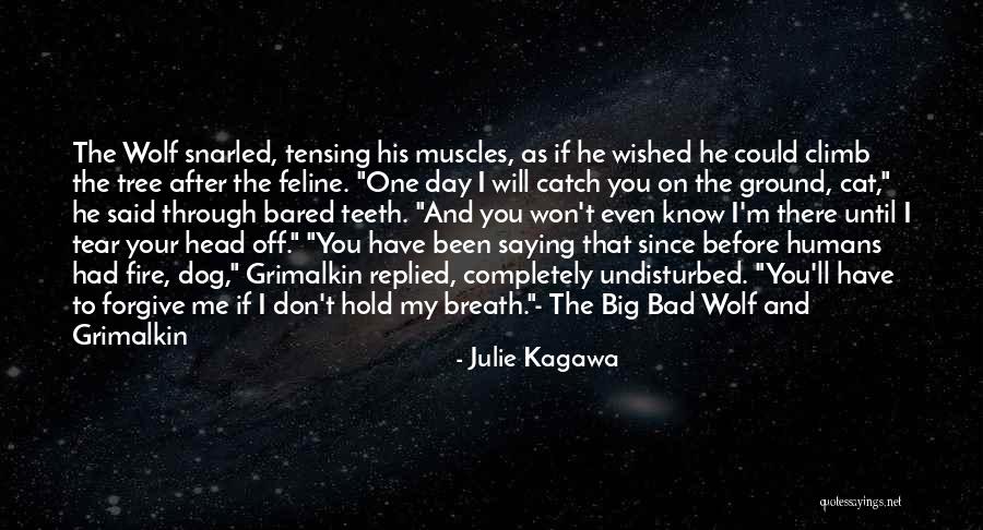 He Won't Forgive Me Quotes By Julie Kagawa