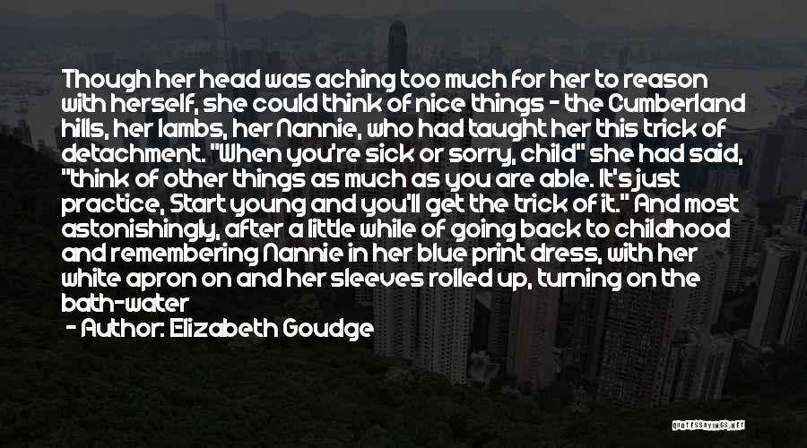 Head Aching Quotes By Elizabeth Goudge
