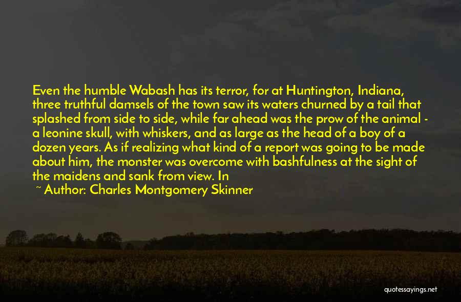 Head And Tail Quotes By Charles Montgomery Skinner