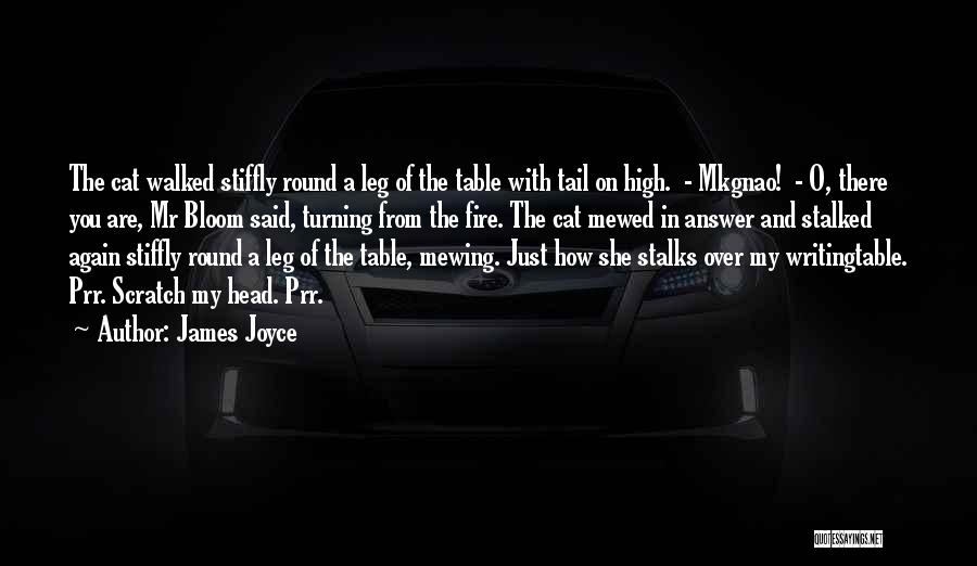 Head And Tail Quotes By James Joyce