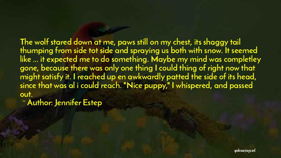 Head And Tail Quotes By Jennifer Estep