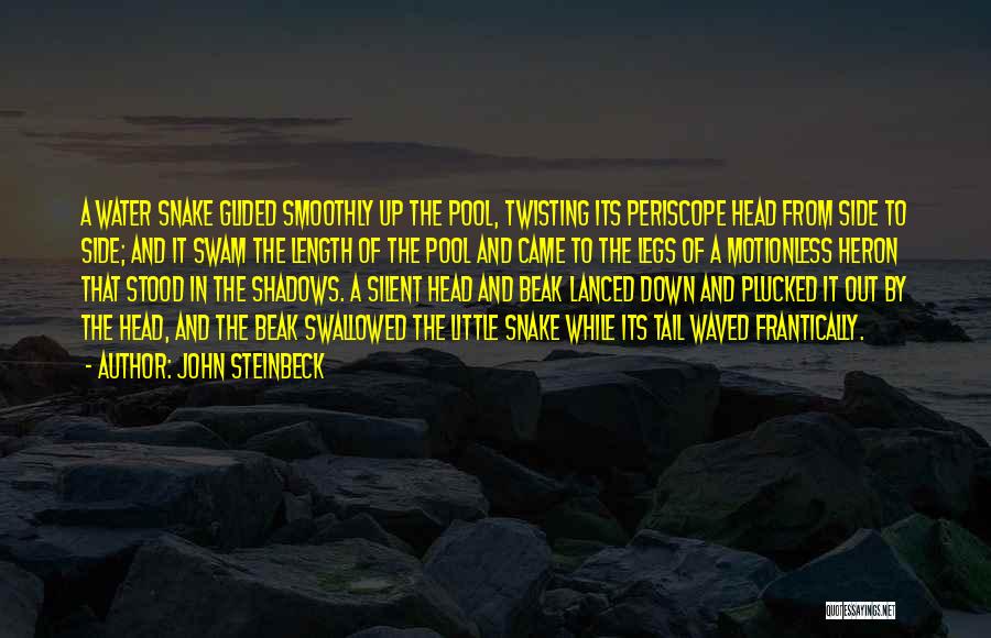 Head And Tail Quotes By John Steinbeck