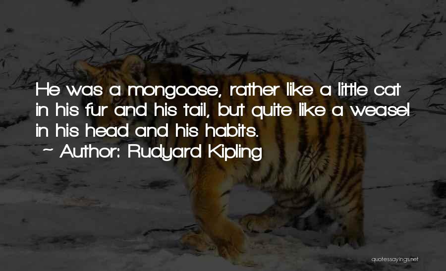 Head And Tail Quotes By Rudyard Kipling