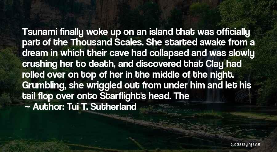 Head And Tail Quotes By Tui T. Sutherland