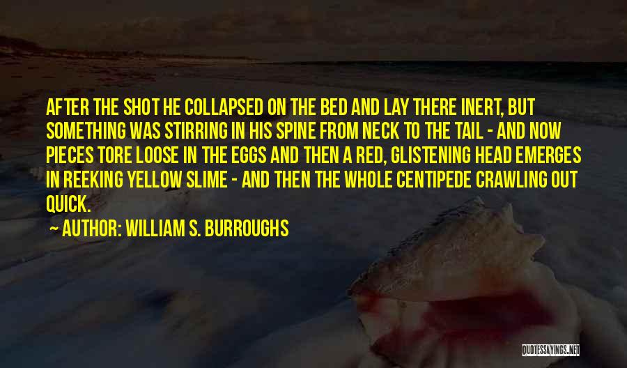 Head And Tail Quotes By William S. Burroughs