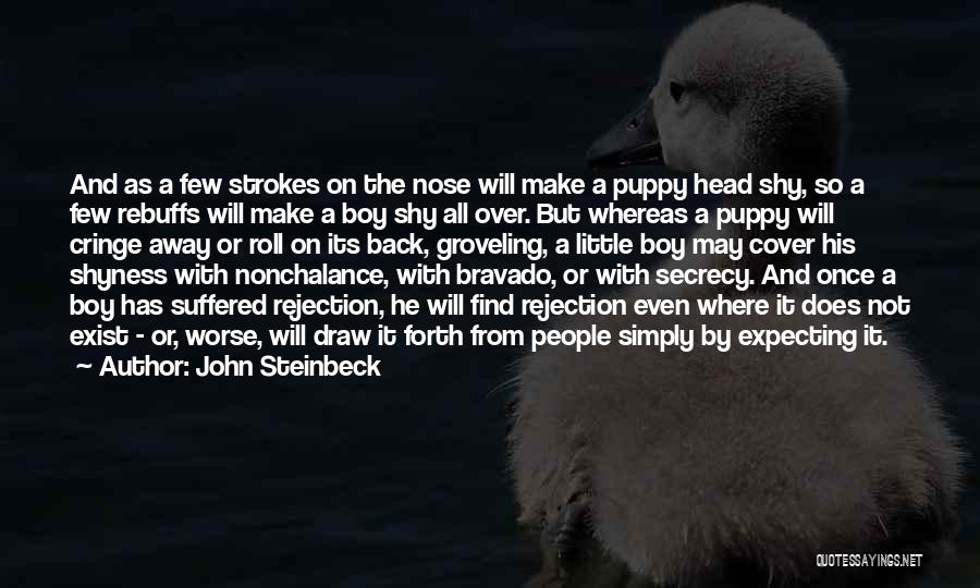 Head Cover Quotes By John Steinbeck