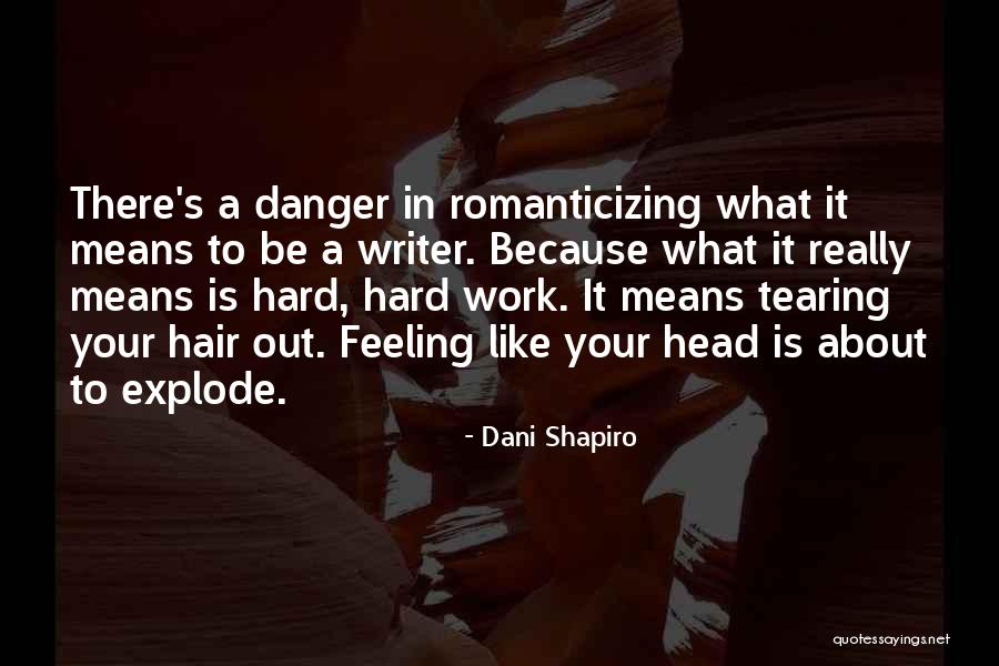 Head Explode Quotes By Dani Shapiro Head Explode Quotes By Dani Shapiro