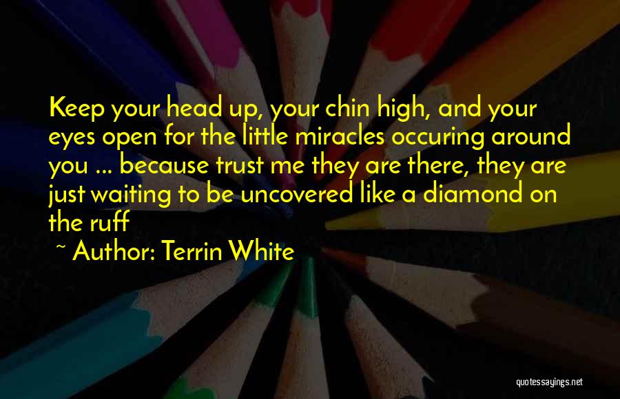 Head High Up Quotes By Terrin White