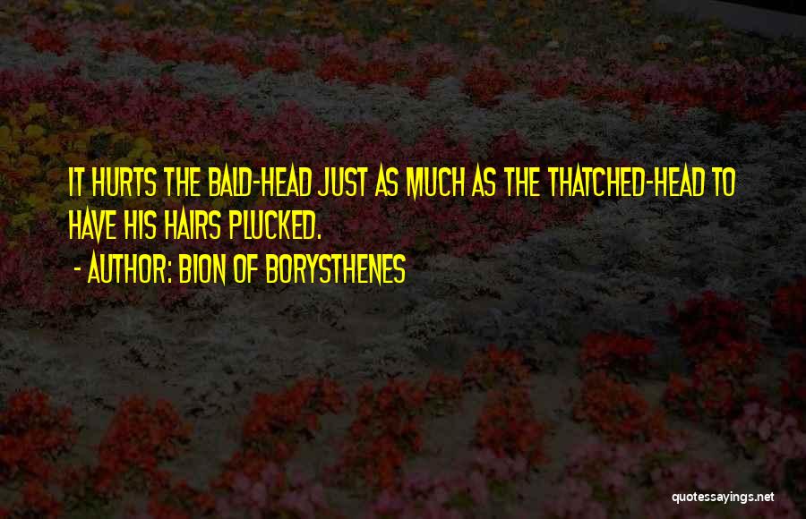 Head Hurts Quotes By Bion Of Borysthenes