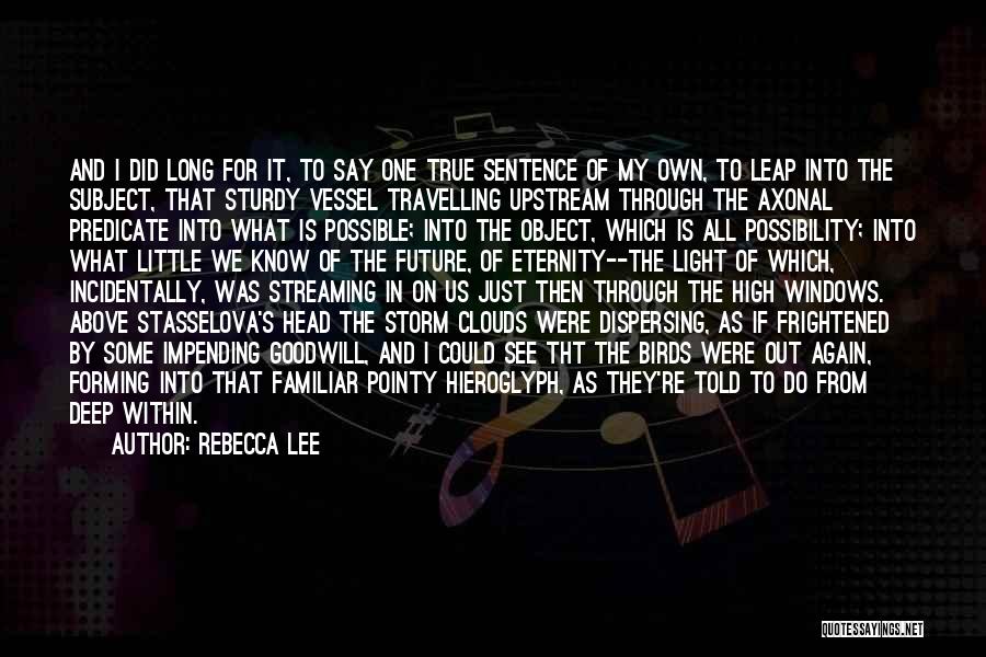 Head In Clouds Quotes By Rebecca Lee