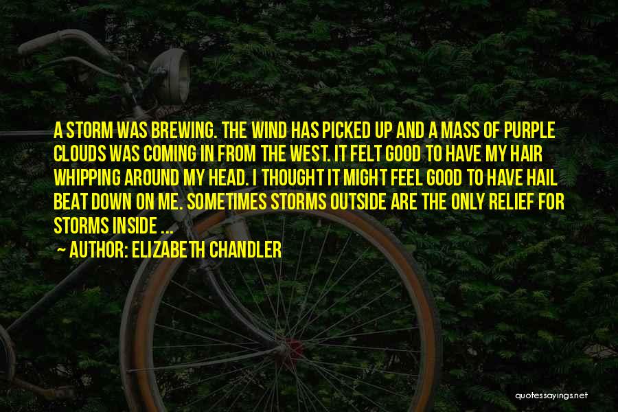 Head In The Clouds Quotes By Elizabeth Chandler