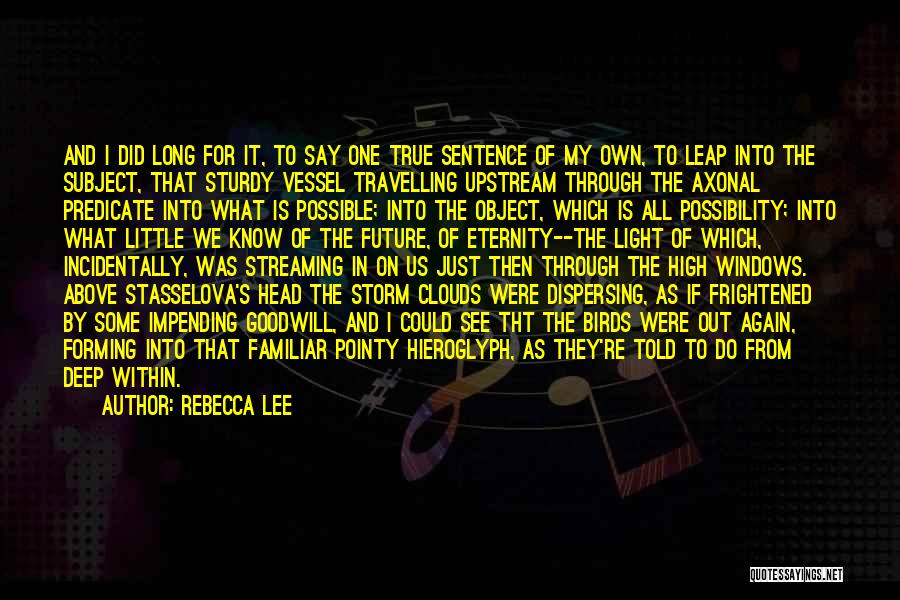 Head In The Clouds Quotes By Rebecca Lee