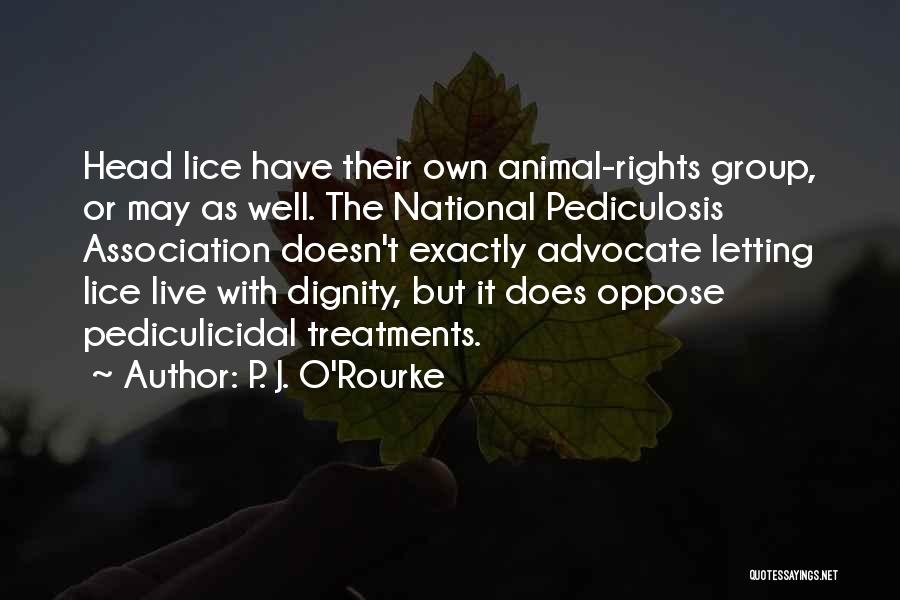 Head Lice Quotes By P. J. O'Rourke