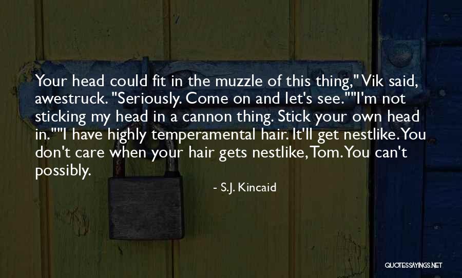 Head On A Stick Quotes By S.J. Kincaid Head On A Stick Quotes By S.J. Kincaid