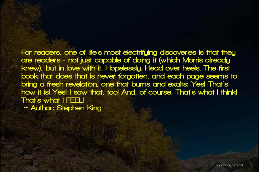 Head Over Heels Quotes By Stephen King