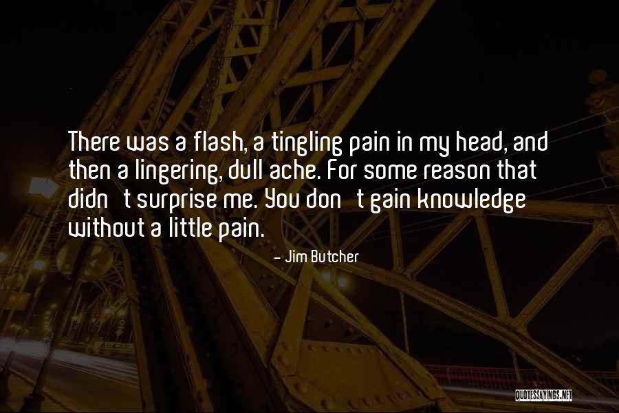 Head Pain Quotes By Jim Butcher Head Pain Quotes By Jim Butcher