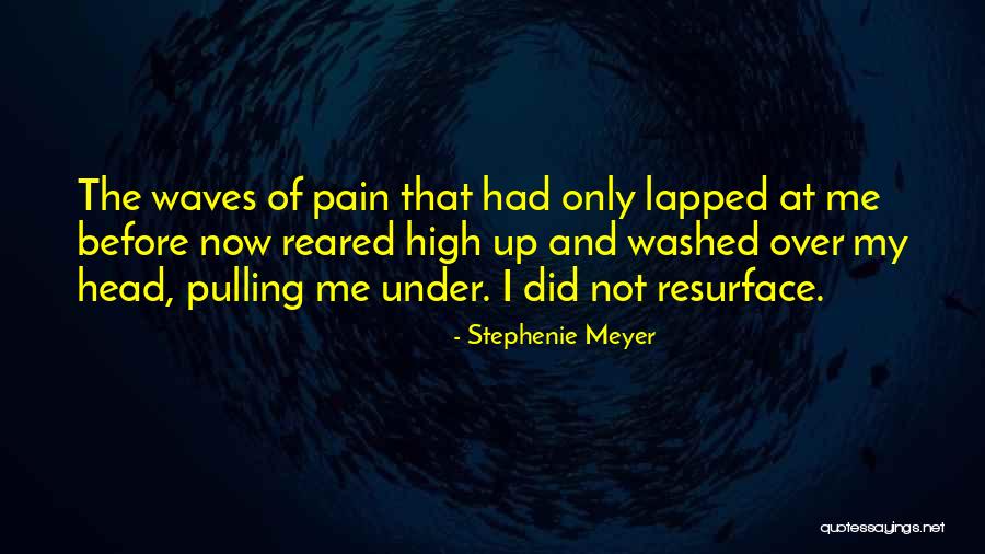 Head Pain Quotes By Stephenie Meyer Head Pain Quotes By Stephenie Meyer
