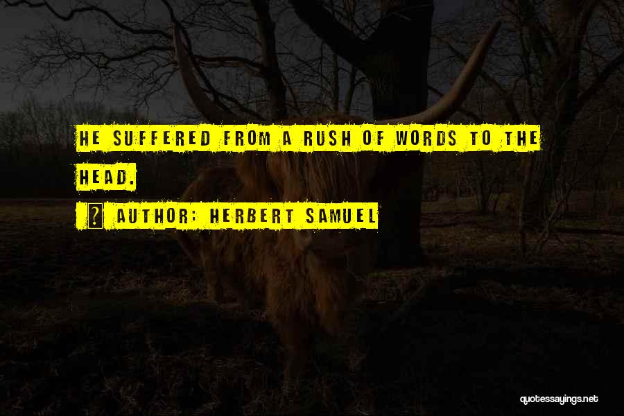 Head Rush Quotes By Herbert Samuel