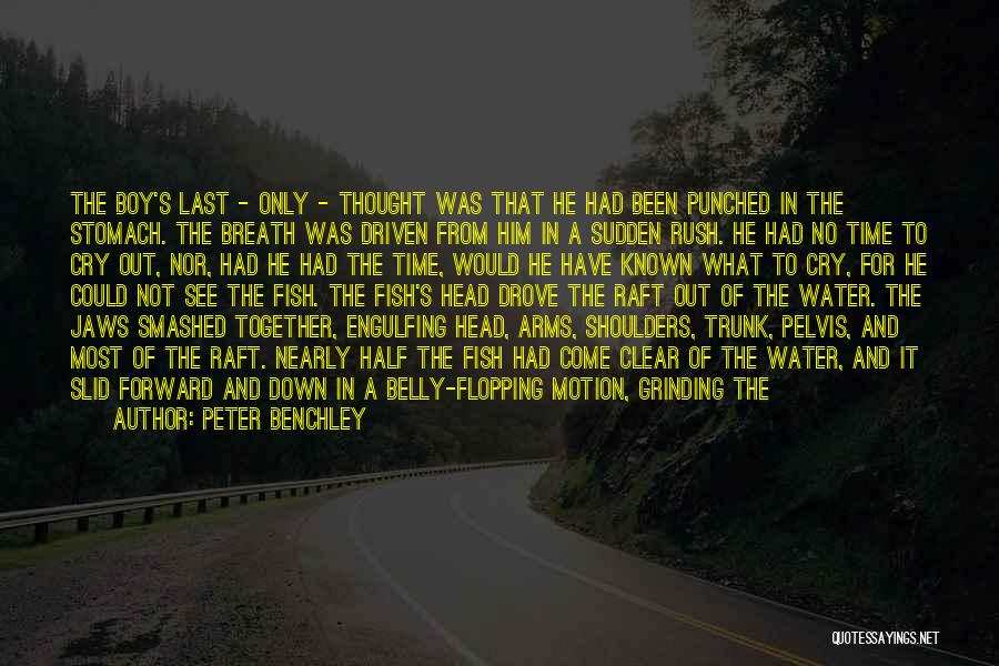 Head Rush Quotes By Peter Benchley