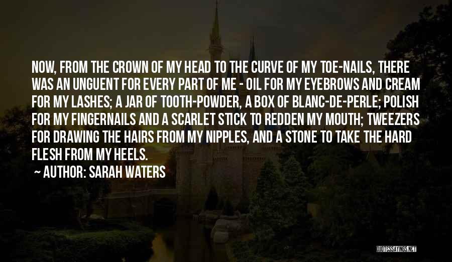 Head To Toe Quotes By Sarah Waters
