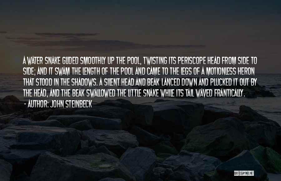 Head Twisting Quotes By John Steinbeck