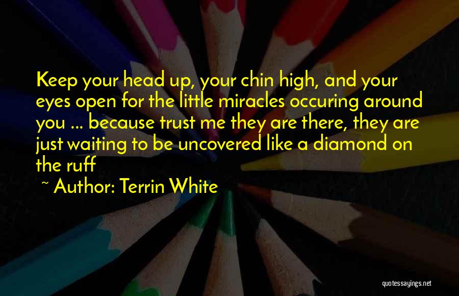 Head Up High Quotes By Terrin White