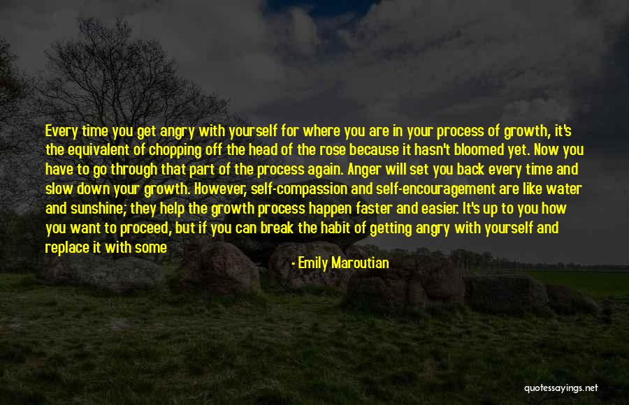 Head Up Quotes By Emily Maroutian