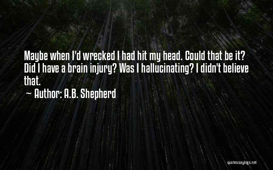 Head Wrecked Quotes By A.B. Shepherd