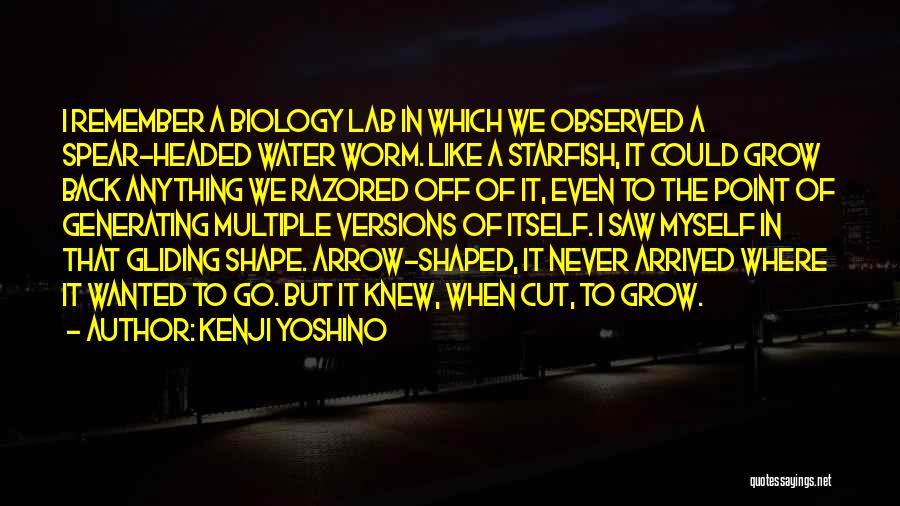 Headed Quotes By Kenji Yoshino