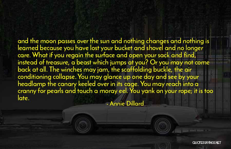 Headlamp Quotes By Annie Dillard Headlamp Quotes By Annie Dillard