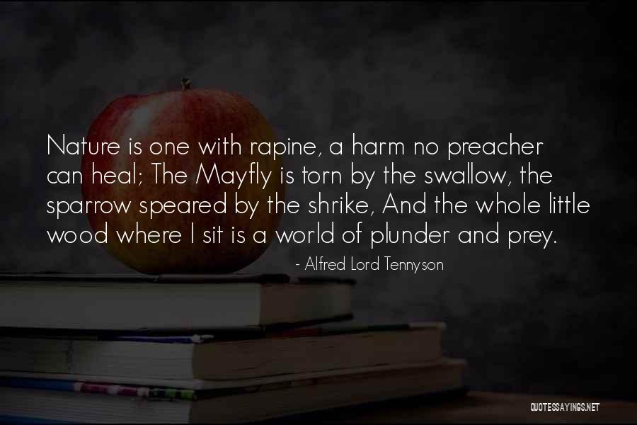 Heal Me O Lord Quotes By Alfred Lord Tennyson Heal Me O Lord Quotes By Alfred Lord Tennyson