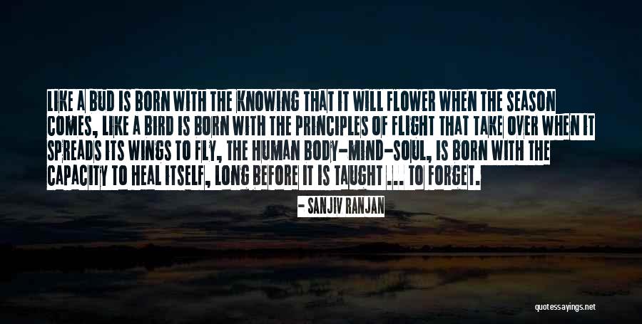 Heal My Soul Quotes By Sanjiv Ranjan Heal My Soul Quotes By Sanjiv Ranjan